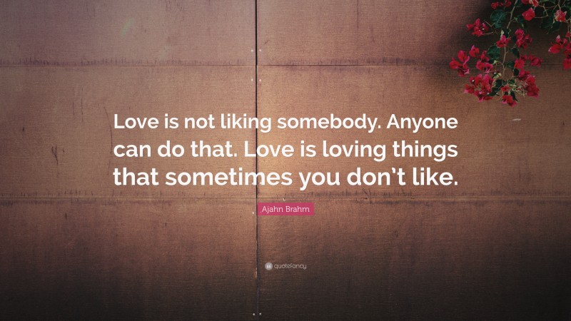 Ajahn Brahm Quote: “Love is not liking somebody. Anyone can do that. Love is loving things that sometimes you don’t like.”