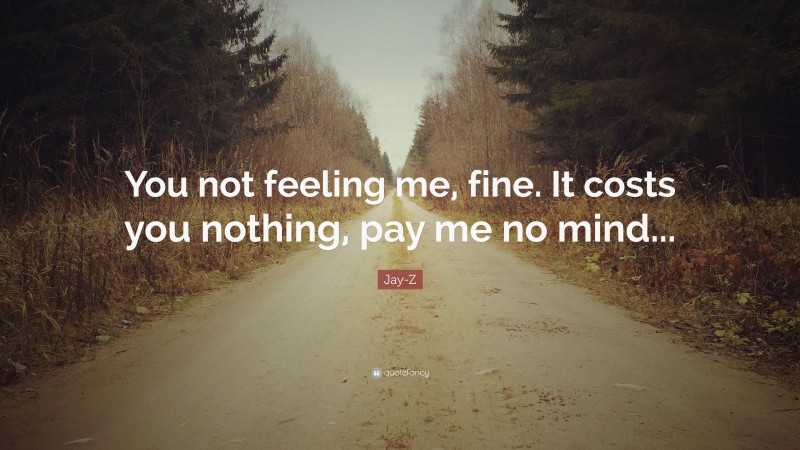 Jay-Z Quote: “You not feeling me, fine. It costs you nothing, pay me no mind...”