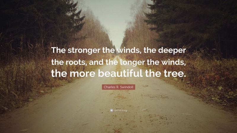 Charles R. Swindoll Quote: “The stronger the winds, the deeper the roots, and the longer the winds, the more beautiful the tree.”