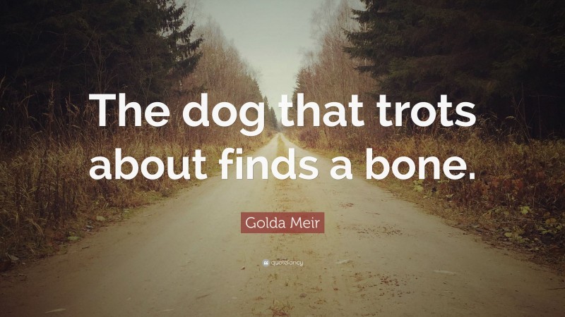 Golda Meir Quote: “The dog that trots about finds a bone.”