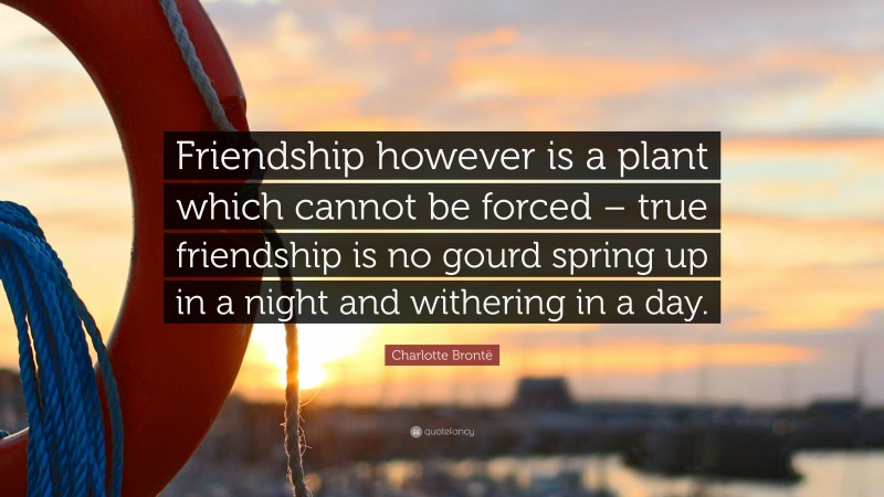 Charlotte Brontë Quote: “Friendship however is a plant which cannot be forced – true friendship is no gourd spring up in a night and withering in a day.”