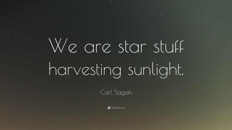 Carl Sagan Quote: “We are star stuff harvesting sunlight.”