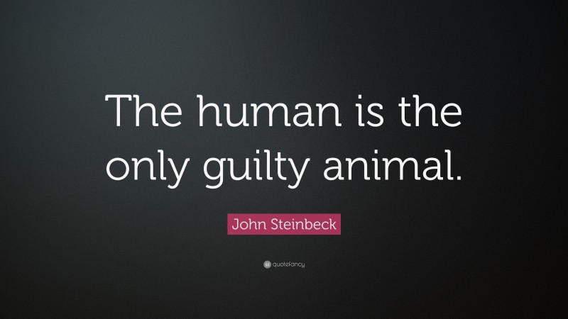 John Steinbeck Quote: “The human is the only guilty animal.”