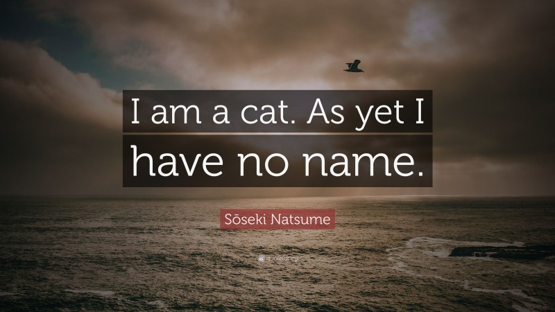 Sōseki Natsume Quote: “I am a cat. As yet I have no name.”