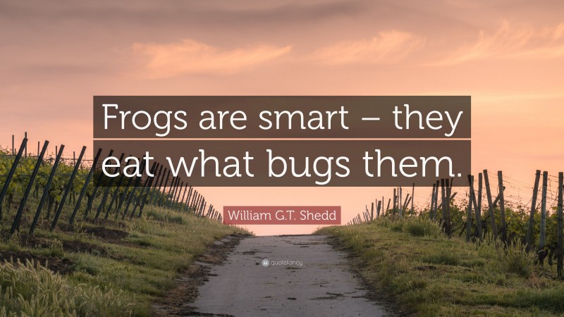 William G.T. Shedd Quote: “Frogs are smart – they eat what bugs them.”