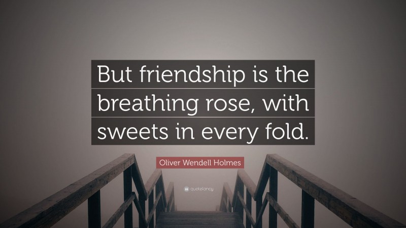 Oliver Wendell Holmes Quote: “But friendship is the breathing rose, with sweets in every fold.”