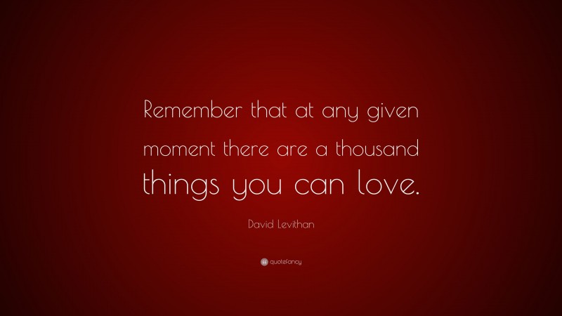 David Levithan Quote: “Remember that at any given moment there are a thousand things you can love.”