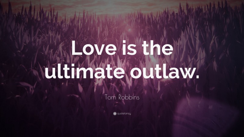 Tom Robbins Quote: “Love is the ultimate outlaw.”