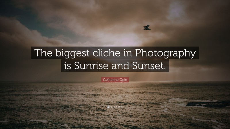 Catherine Opie Quote: “The biggest cliche in Photography is Sunrise and Sunset.”