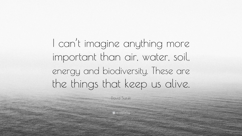 David Suzuki Quote: “I can’t imagine anything more important than air, water, soil, energy and biodiversity. These are the things that keep us alive.”