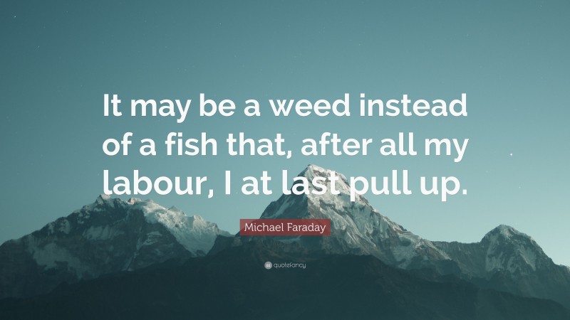 Michael Faraday Quote: “It may be a weed instead of a fish that, after all my labour, I at last pull up.”