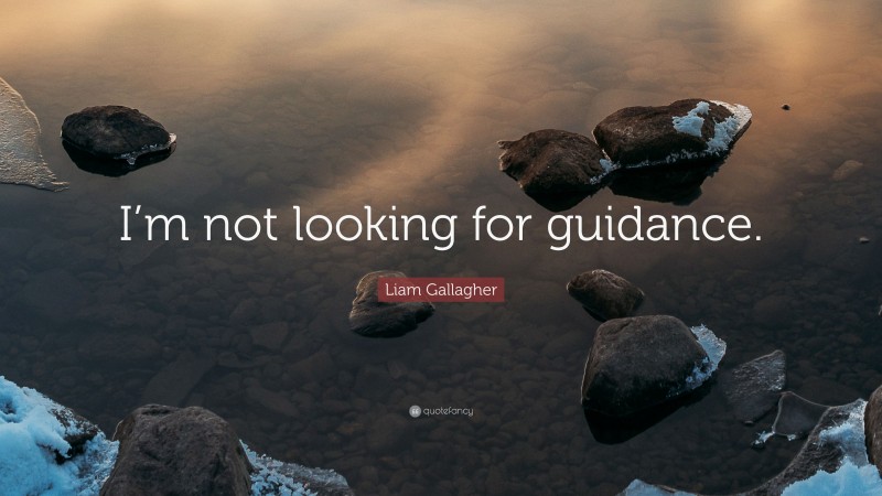 Liam Gallagher Quote: “I’m not looking for guidance.”