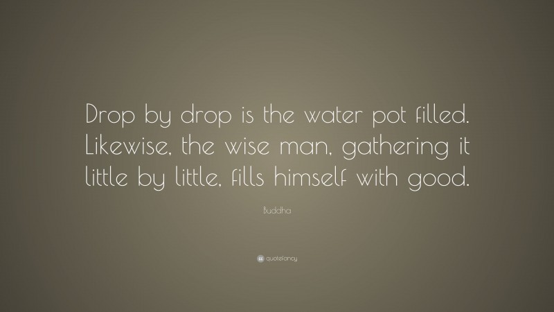 Buddha Quote: “Drop by drop is the water pot filled. Likewise, the wise man, gathering it little by little, fills himself with good.”