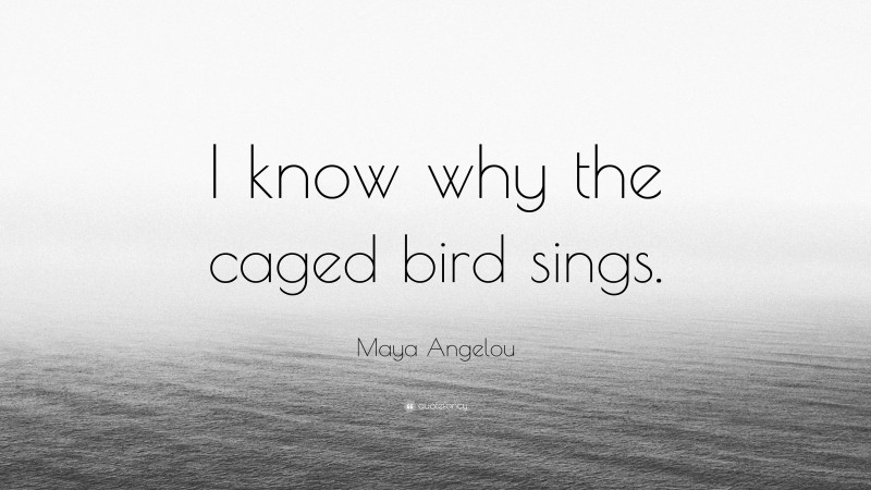 Maya Angelou Quote: “I know why the caged bird sings.”