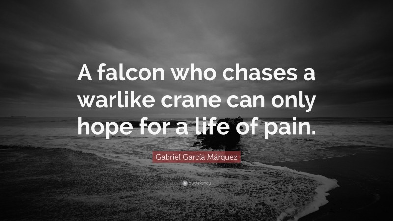 Gabriel Garcí­a Márquez Quote: “A falcon who chases a warlike crane can only hope for a life of pain.”