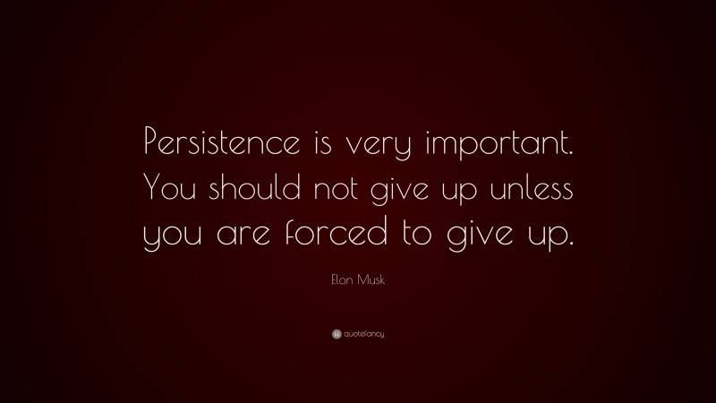 Elon Musk Quote: “Persistence is very important. You should not give up unless you are forced to give up.”