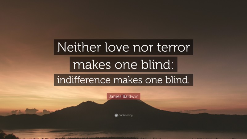 James Baldwin Quote: “Neither love nor terror makes one blind: indifference makes one blind.”