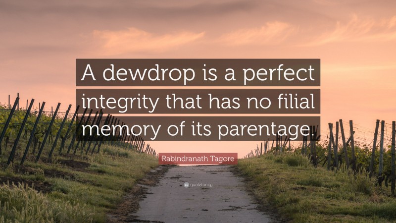 Rabindranath Tagore Quote: “A dewdrop is a perfect integrity that has no filial memory of its parentage.”