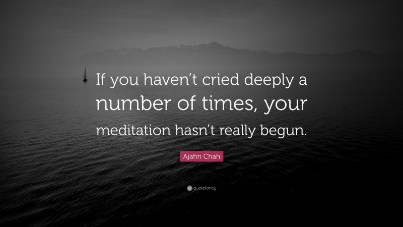 Ajahn Chah Quote: “If you haven’t cried deeply a number of times, your meditation hasn’t really begun.”