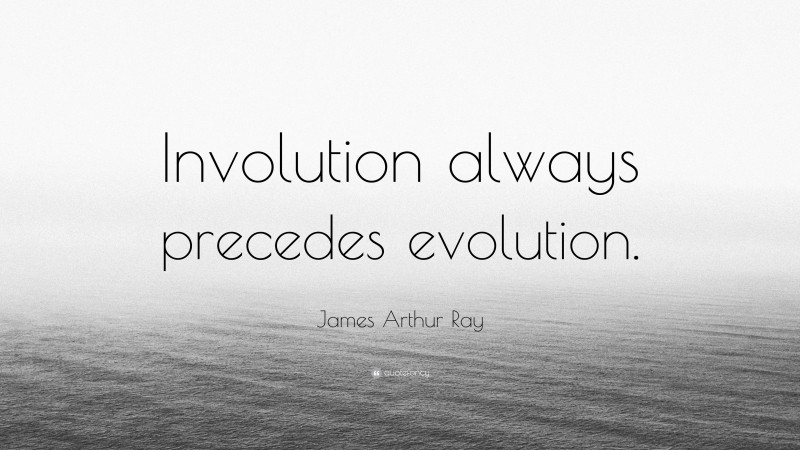 James Arthur Ray Quote: “Involution always precedes evolution.”