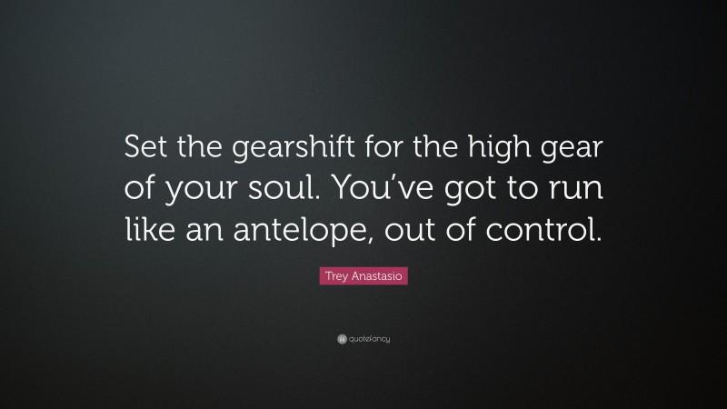 Trey Anastasio Quote: “Set the gearshift for the high gear of your soul. You’ve got to run like an antelope, out of control.”
