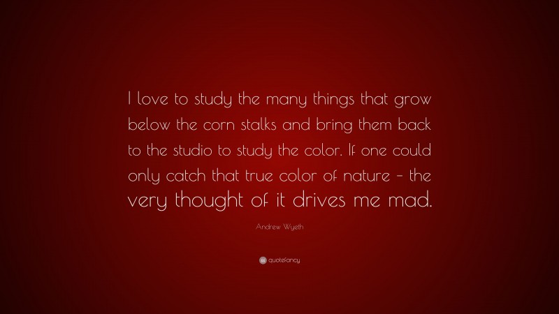 Andrew Wyeth Quote: “I love to study the many things that grow below the corn stalks and bring them back to the studio to study the color. If one could only catch that true color of nature – the very thought of it drives me mad.”