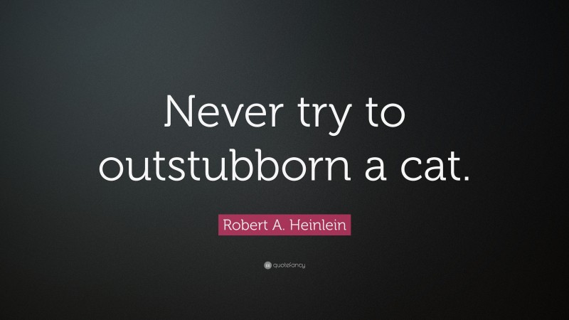Robert A. Heinlein Quote: “Never try to outstubborn a cat.”