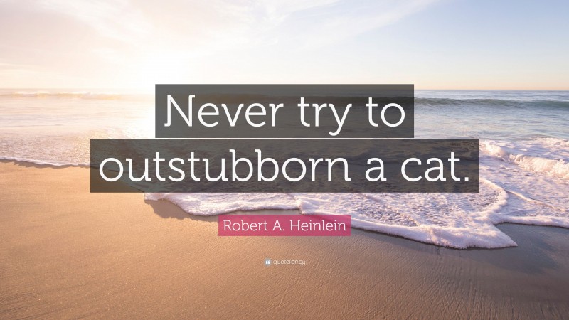 Robert A. Heinlein Quote: “Never try to outstubborn a cat.”