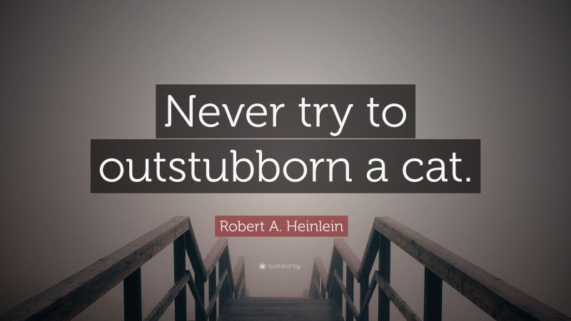 Robert A. Heinlein Quote: “Never try to outstubborn a cat.”