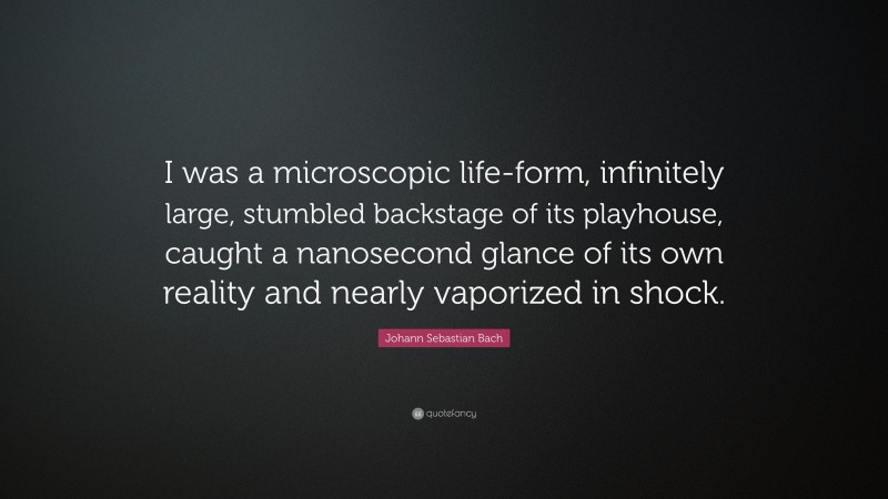 Johann Sebastian Bach Quote: “I was a microscopic life-form, infinitely large, stumbled backstage of its playhouse, caught a nanosecond glance of its own reality and nearly vaporized in shock.”