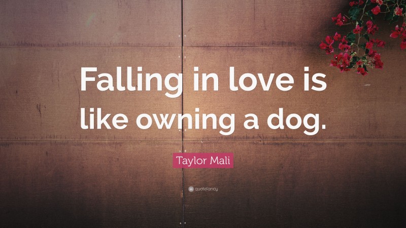 Taylor Mali Quote: “Falling in love is like owning a dog.”