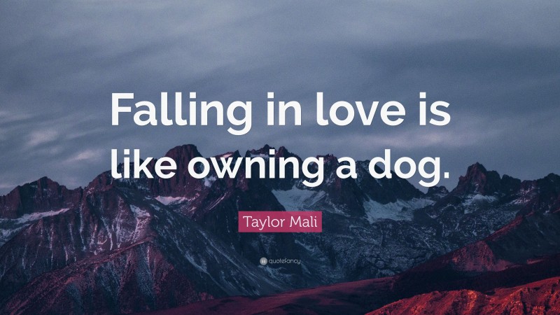 Taylor Mali Quote: “Falling in love is like owning a dog.”