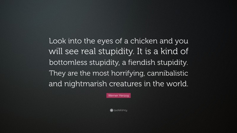 Werner Herzog Quote: “Look into the eyes of a chicken and you will see real stupidity. It is a kind of bottomless stupidity, a fiendish stupidity. They are the most horrifying, cannibalistic and nightmarish creatures in the world.”