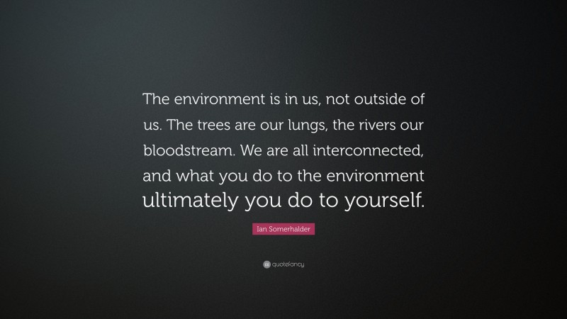 Ian Somerhalder Quote: “The environment is in us, not outside of us. The trees are our lungs, the rivers our bloodstream. We are all interconnected, and what you do to the environment ultimately you do to yourself.”