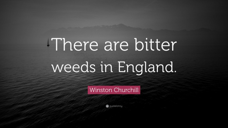 Winston Churchill Quote: “There are bitter weeds in England.”