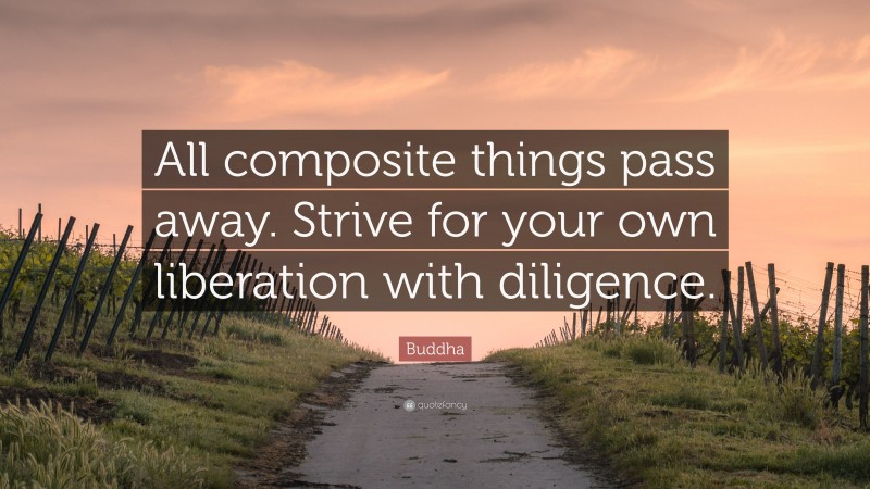 Buddha Quote: “All composite things pass away. Strive for your own liberation with diligence.”