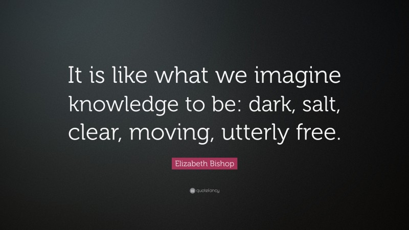 Elizabeth Bishop Quote: “It is like what we imagine knowledge to be: dark, salt, clear, moving, utterly free.”