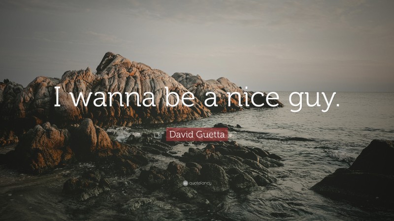 David Guetta Quote: “I wanna be a nice guy.”
