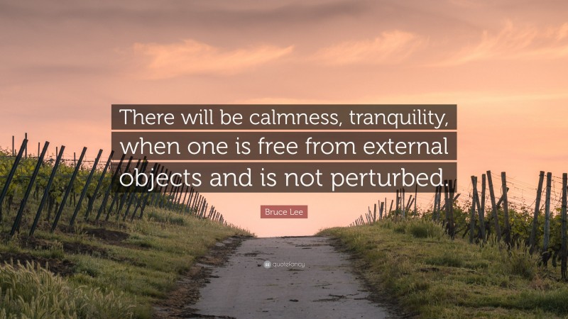 Bruce Lee Quote: “There will be calmness, tranquility, when one is free from external objects and is not perturbed.”