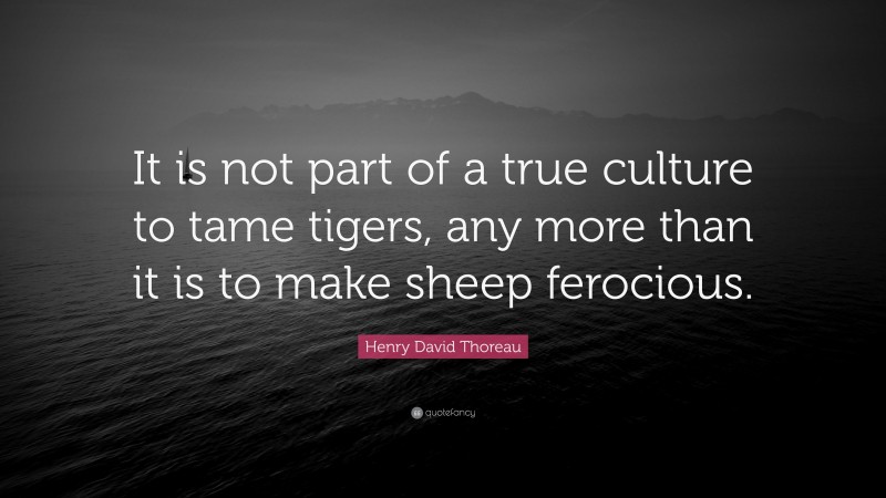 Henry David Thoreau Quote: “It is not part of a true culture to tame tigers, any more than it is to make sheep ferocious.”