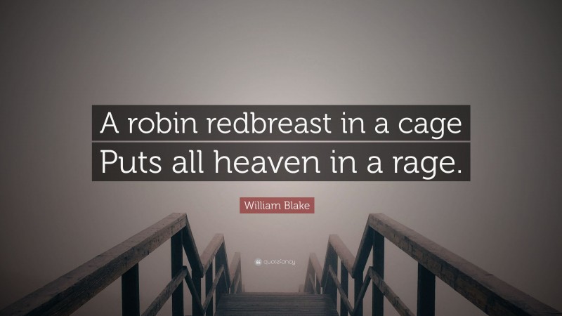 William Blake Quote: “A robin redbreast in a cage Puts all heaven in a rage.”