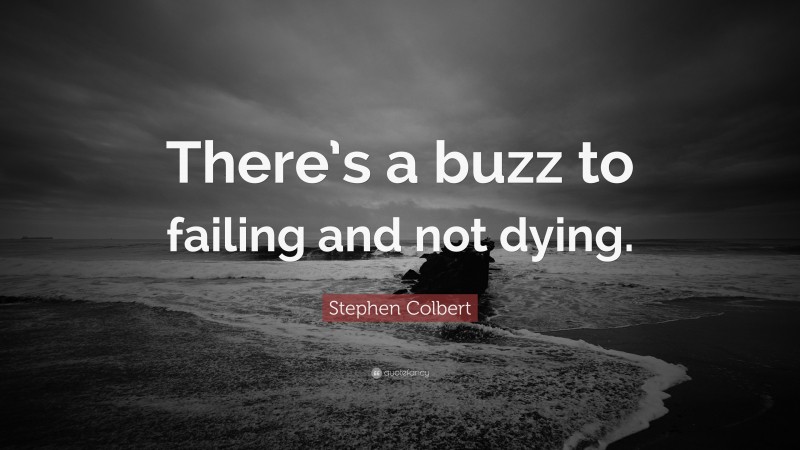 Stephen Colbert Quote: “There’s a buzz to failing and not dying.”