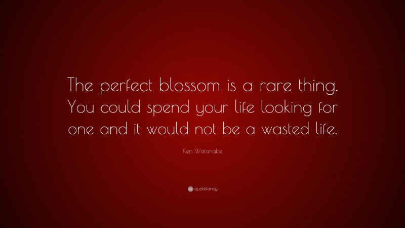 Ken Watanabe Quote: “The perfect blossom is a rare thing. You could spend your life looking for one and it would not be a wasted life.”