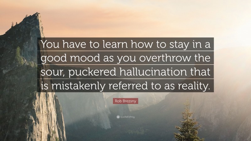 Rob Brezsny Quote: “You have to learn how to stay in a good mood as you overthrow the sour, puckered hallucination that is mistakenly referred to as reality.”