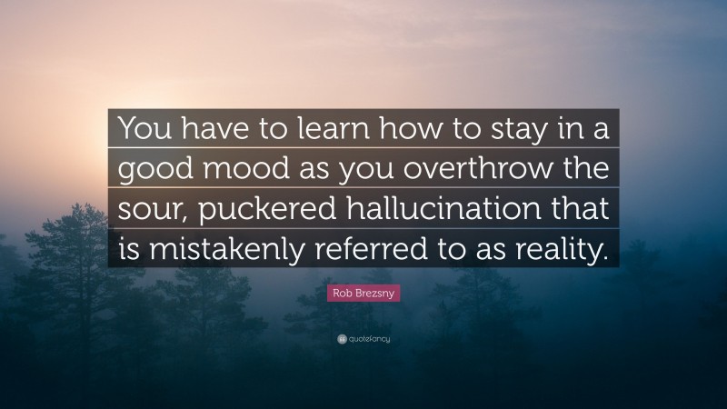 Rob Brezsny Quote: “You have to learn how to stay in a good mood as you overthrow the sour, puckered hallucination that is mistakenly referred to as reality.”