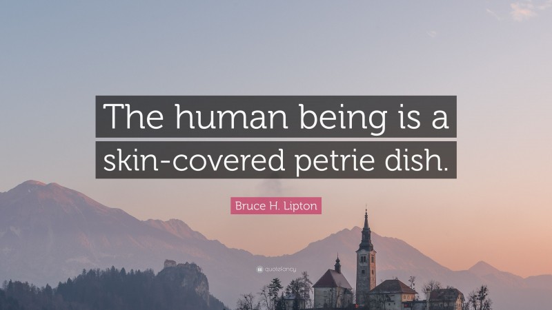 Bruce H. Lipton Quote: “The human being is a skin-covered petrie dish.”