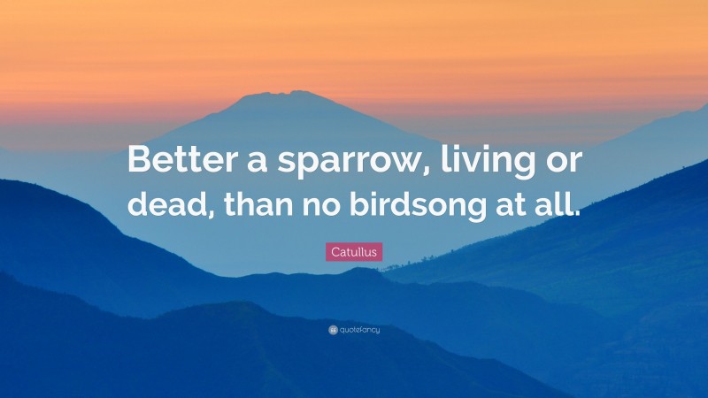 Catullus Quote: “Better a sparrow, living or dead, than no birdsong at all.”