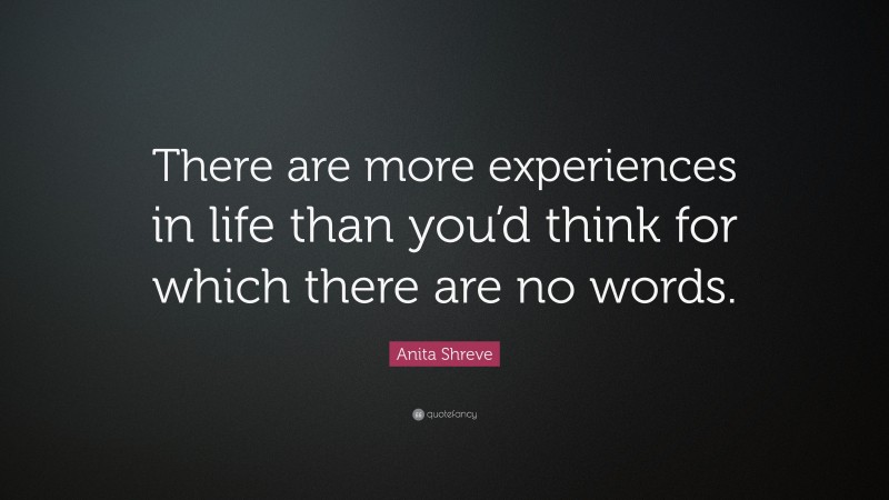 Anita Shreve Quote: “There are more experiences in life than you’d think for which there are no words.”