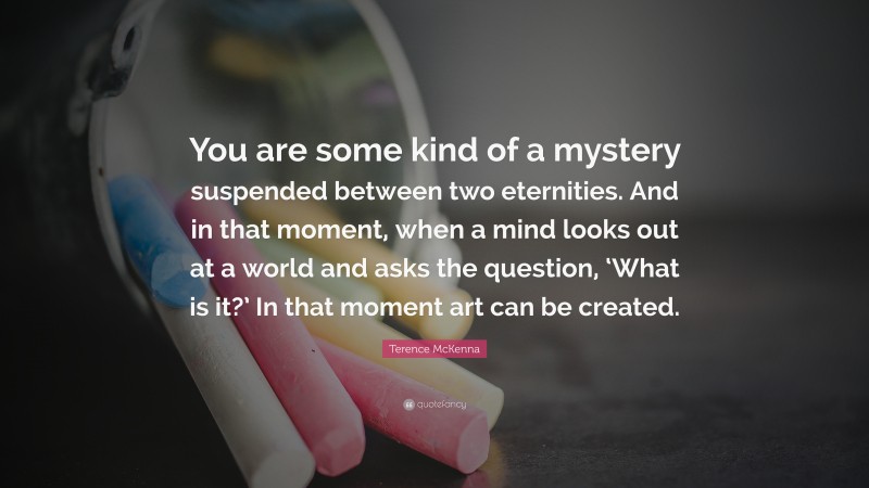 Terence McKenna Quote: “You are some kind of a mystery suspended between two eternities. And in that moment, when a mind looks out at a world and asks the question, ‘What is it?’ In that moment art can be created.”