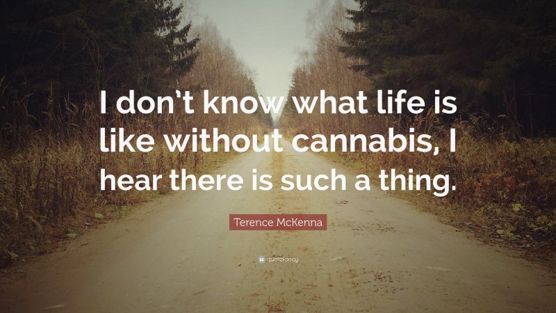 Terence McKenna Quote: “I don’t know what life is like without cannabis, I hear there is such a thing.”